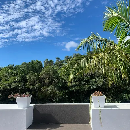 Willa Quinta De Santo Antonio *